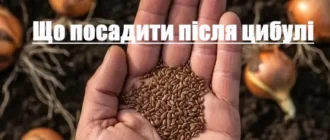 6789789789798789789789