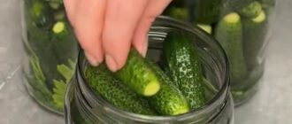 6d3b7c8a5c886b2caaf5f8bd469e5518