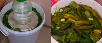 024ed57fc13e809bf999b37b868d32c5