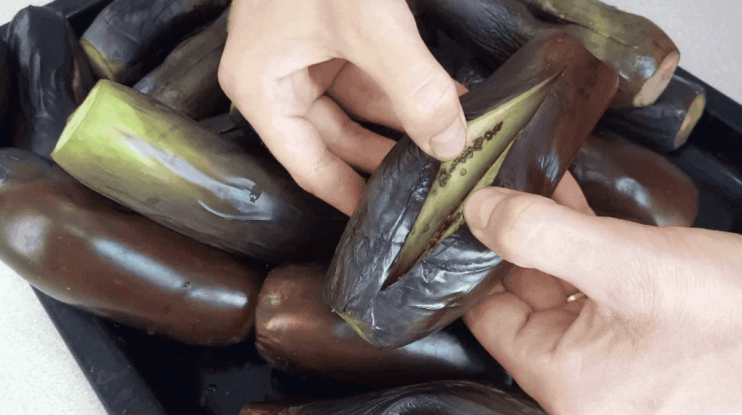 29af007b60b9df18a34e07d4d4c40868