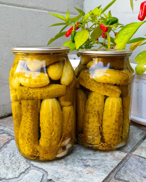 54bcb116e449ad1aaaa1cfb196bc7f83