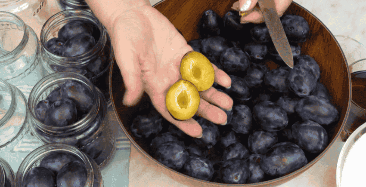 729772bfcc5008bba3cd75c390198007