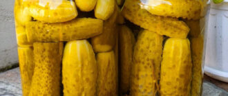 8d4dd141dadfca00d6d15a2d0fa9ae77