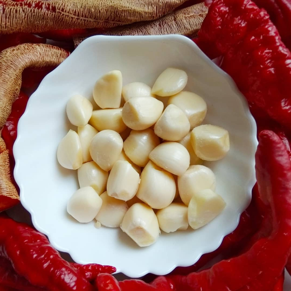 a30ae6c9a55a1342576d81f8165f1d0e