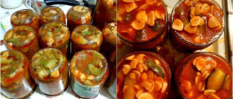 d6d071e831faf0c3d9790d0f2a1b2891