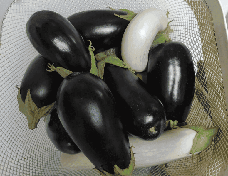 f99bf87baef31703d4f5270ad0c6c087