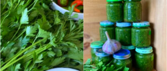 e6da68c66f8ce6fea9a14312b27ea42a