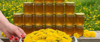 6fa9ac2f0e24bd8728c92d5349cccd75