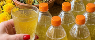 88137aad9bc30d7dea3c519de07ac5f9