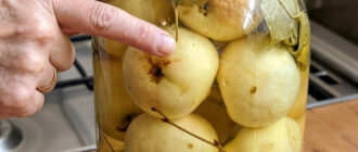 fb domashni mocheni yabluka smak dytynstva vony v miru kysli i solodki 26586