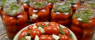 fb medovi pomidory na zymu bez sterylizatsii i zberihayutsya v kvartyri probuesh i ne vidirvatysya duzhe smachni i aromatni 98529