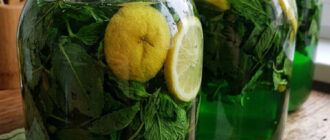 fb mohito na zymu hotuyu 6 litriv vidrazu hoch z m yatoyu hoch z melisoyu aromatnyy ta svizhyy napiy 115350