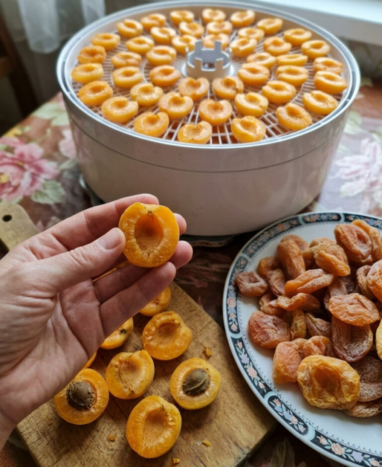 fb domashnya kuraha dva harni sposoby dlya sushky abrykos 63353