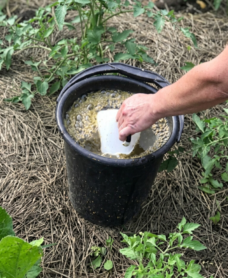Дріжджі - натуральне та ефективне добриво для гарного врожаю 34 fb drizhdzhi naturalne ta efektyvne dobryvo dlya harnoho vrozhayu 56350