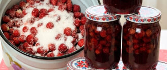 fb marmeladne varennya z polunytsi prostyy ta shvydkyy retsept pryhotuvannya 63253